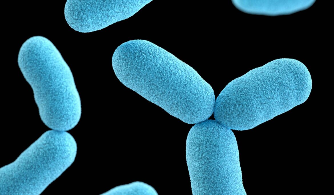 Legionella nei luoghi di lavoro: quali pericoli? Quali obblighi?